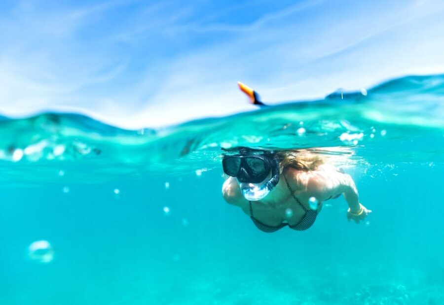 Waikiki: Turtle Snorkeling Cruise with 20ft Jumping Platform - Snorkeling for turtles: how to set yourself up for success