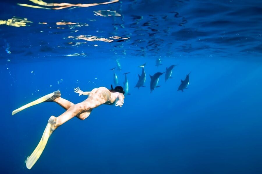 Waikiki: Turtle Snorkeling Cruise with 20ft Jumping Platform - The 20ft jumping platform (and what height you should expect)