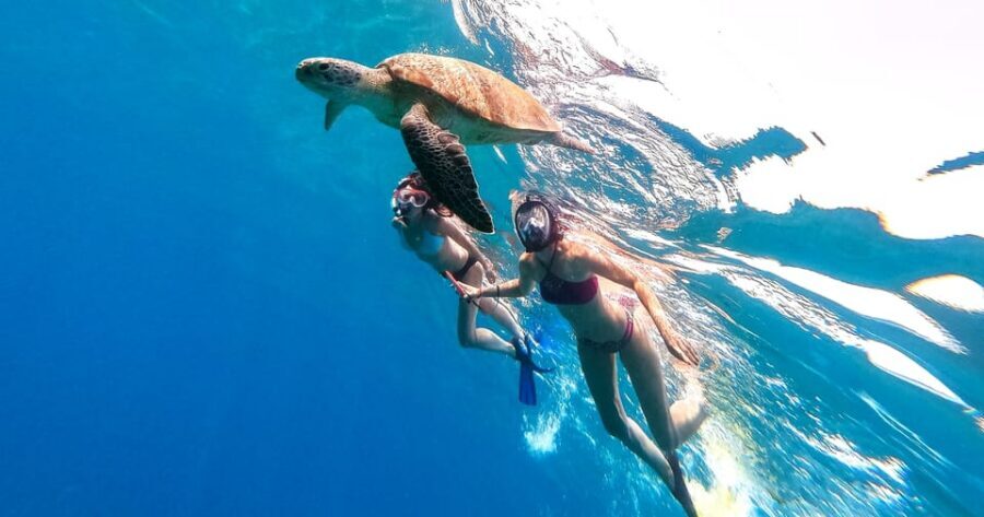 Waikiki: Turtle Snorkeling Cruise with 20ft Jumping Platform - Cruising views: Oahu coastline from the multi-level decks