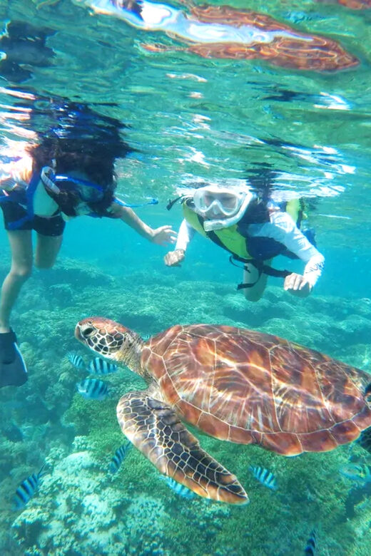 Waikiki: Turtle Snorkeling Cruise with 20ft Jumping Platform - Who this cruise fits best