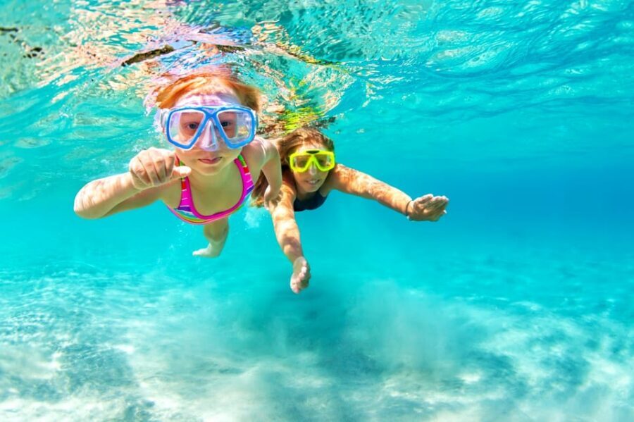 Waikiki: Turtle Snorkeling Cruise with 20ft Jumping Platform - Price and value: is $89 a good deal?
