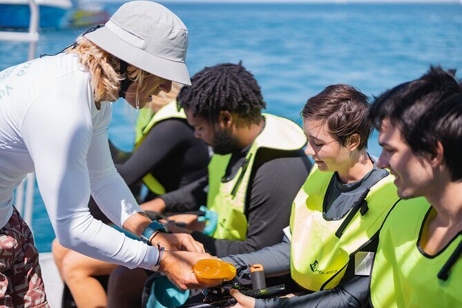 Waikiki Turtle Snorkeling Tour with Complimentary Trolley Ride - What to bring and how to make the most of your water time