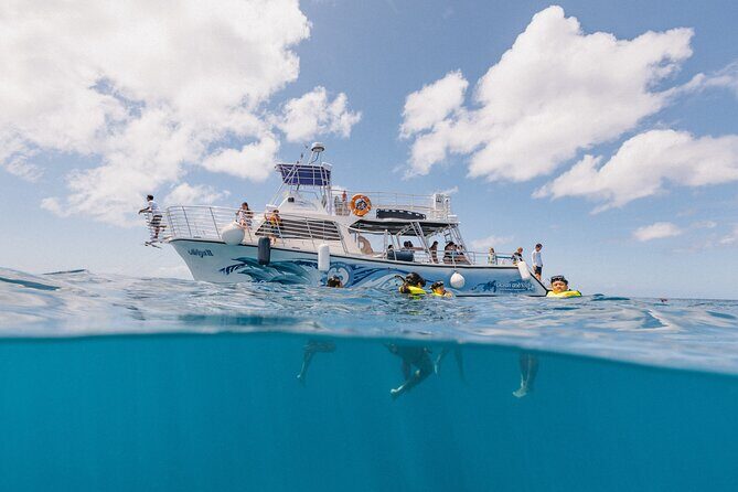 Waikiki Turtle Snorkeling Tour with Complimentary Trolley Ride - Waikiki trolley to boat: the easiest way to start snorkeling day