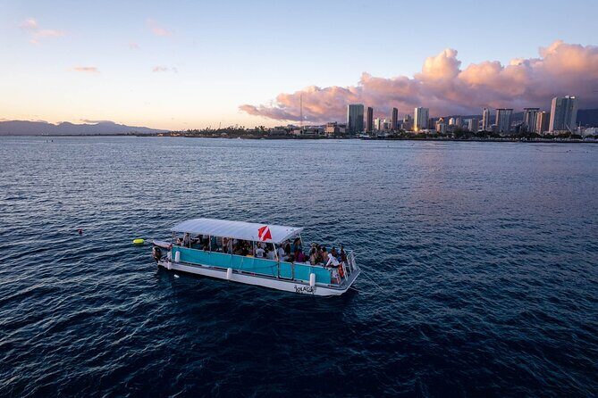 Waikiki Whale Watching Cruise - What You’ll Actually See: Whales, Plus the Nice Extras