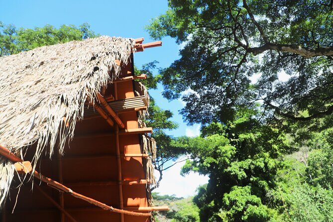 Waimea Valley Waterfall Swim & Dole Plantation Tour with Lunch - Key highlights to look for