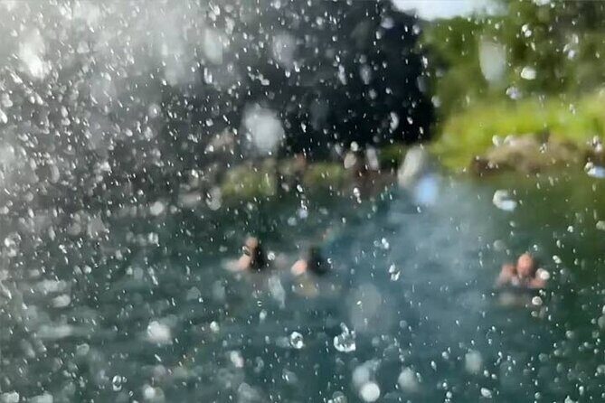 Waimea Valley Waterfall Swim & Dole Plantation Tour with Lunch - The big picture: a day built around a real waterfall
