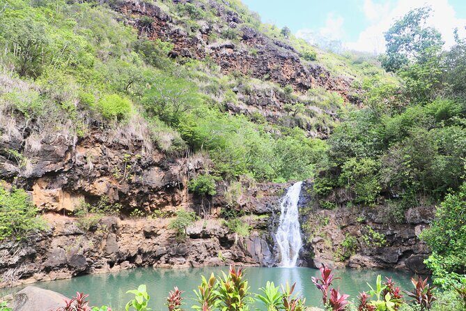 Waimea Valley Waterfall Swim & Dole Plantation Tour with Lunch - Lunch in the valley: included fuel without decision fatigue