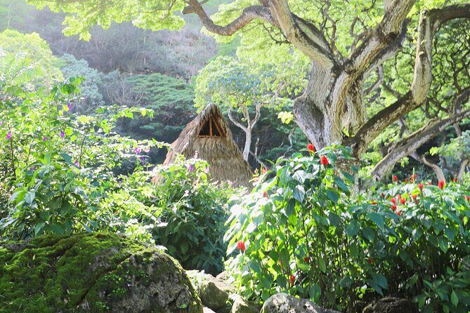Waimea Valley Waterfall Swim & Dole Plantation Tour with Lunch - Price and value: what $120.60 is really buying
