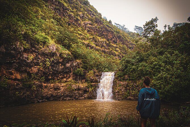 Waterfall Hike in Hawai'i Rainforest Trail - Your Local Guide: Navigation, Photo Spots, and Island Stories