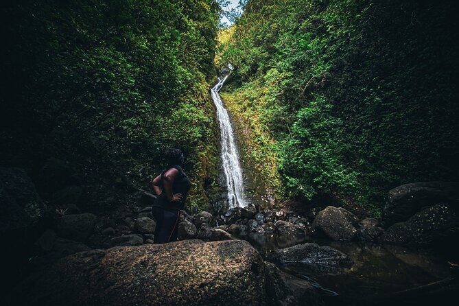 Waterfall Hike in Hawai'i Rainforest Trail - What’s Included (and What You Should Pack Anyway)