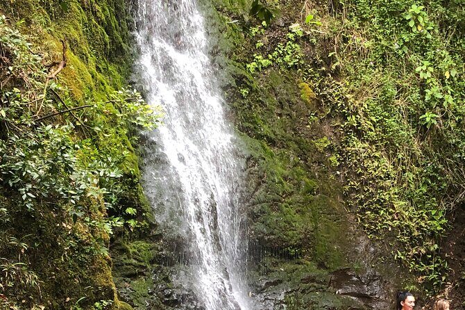 Waterfall Hike , Sightseeing & East Side Beach Day - What You’re Really Buying: A Guided Day That Feels Like Hawaii, Not Checklists