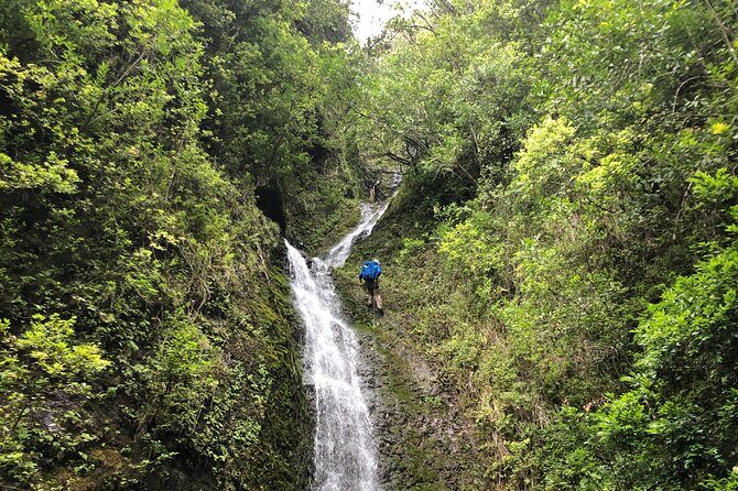 Waterfall Hike , Sightseeing & East Side Beach Day - Pickup and Riding Comfort: Jeep vs. Luxury Van, and Why It Matters