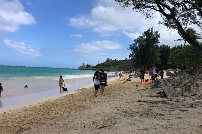 Waterfall Hike , Sightseeing & East Side Beach Day - The Guides: Why Seamus, Natalie, Katie, and Others Make This Tour Feel Worth It
