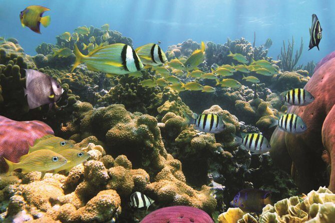 West Oahu Afternoon Turtle Snorkel Sail - Sailing Route Highlights: Waianae Mountains, Waikiki, and Ko Olina Views