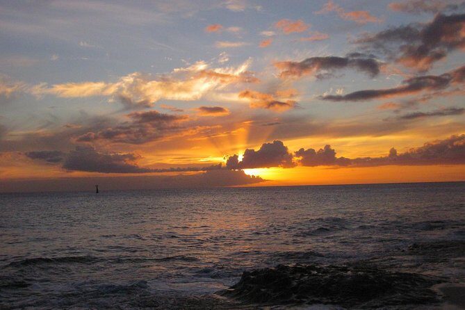 West Oahu Sunset Cocktail Cruise with Appetizers - Wildlife watch: what you can hope for (and what you can’t control)