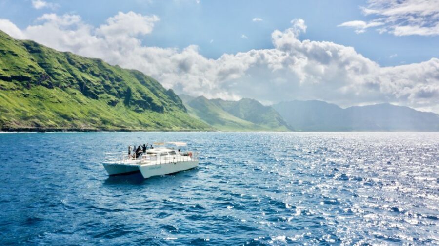 West O'ahu: Swim with Dolphins Catamaran Cruise - Dolphin and turtle “hunting” time: what you’re really doing out there