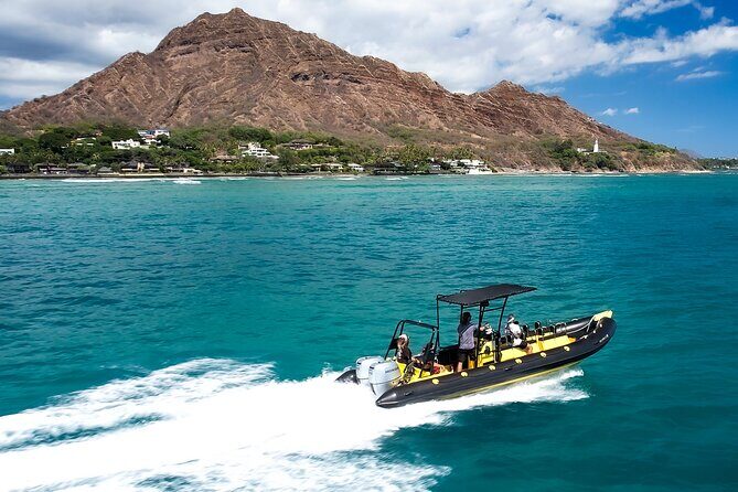 Whale Watching Adventure -Speed Boat & Small Group - What’s Included Onboard: Snacks, Drinks, and Keeping Comfortable