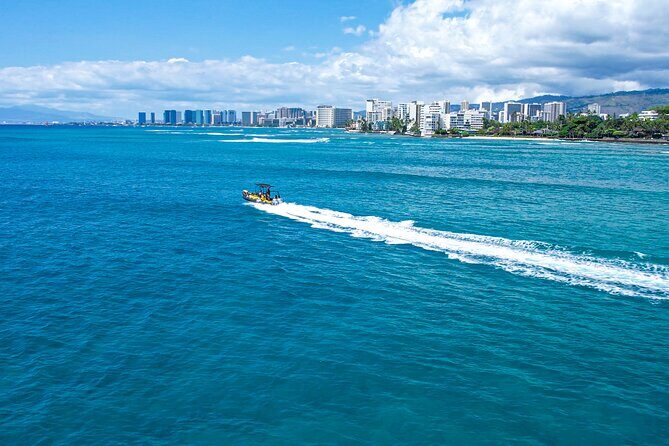 Whale Watching Adventure -Speed Boat & Small Group - Group Size and Vibe: Why Max Six Changes the Whole Day