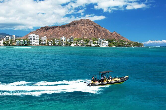 Whale Watching Adventure -Speed Boat & Small Group - Where You Meet at Ala Moana and How Boarding Works