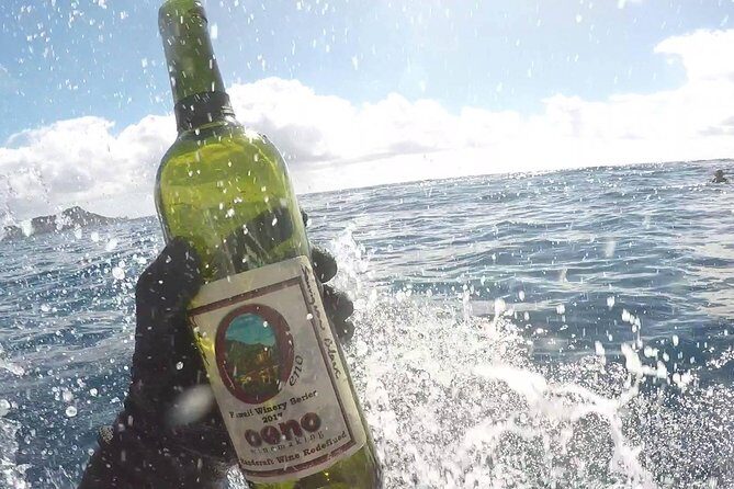 Winery Oeno Island Style Wine Tasting - Who should book this, and who might want to skip